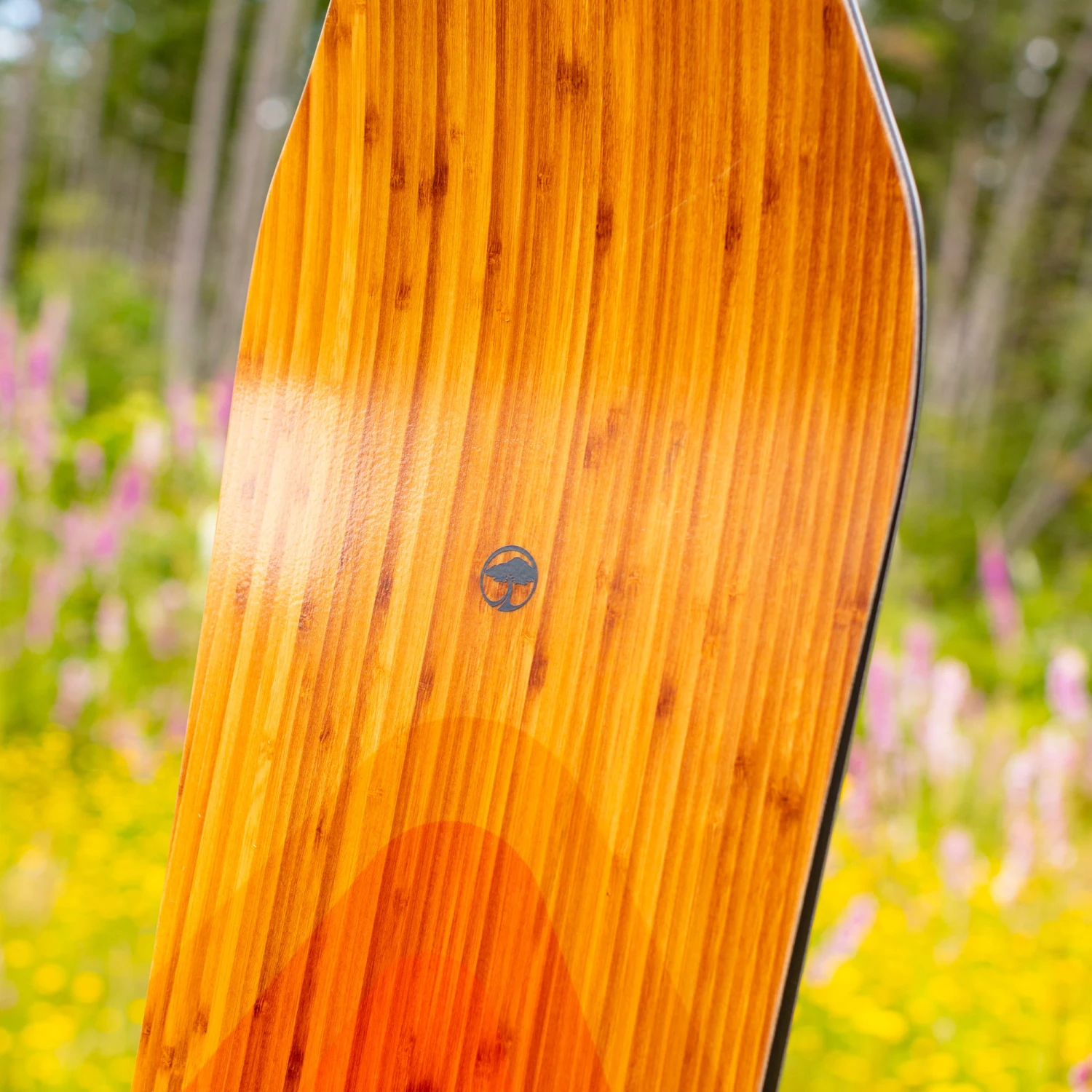 Shiloh Camber - Image 4