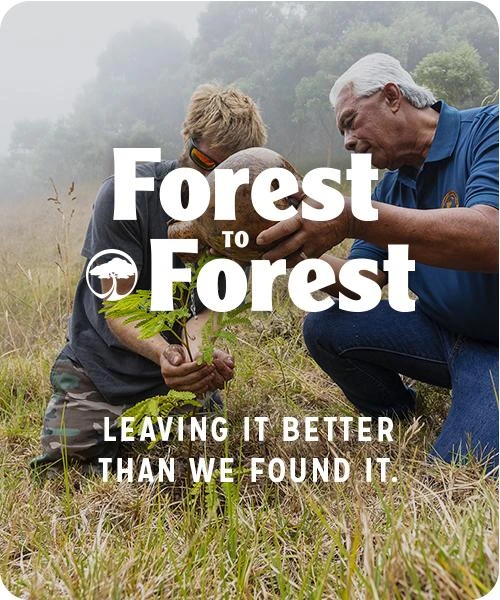 Shakedown 58mm Wheels - Image 8