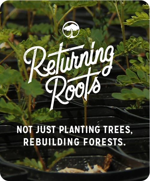 Shakedown 58mm Wheels - Image 7