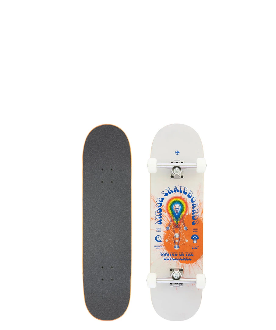 Whiskey 8.5 Experience - Image 5